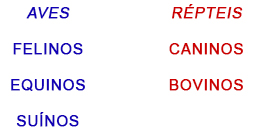 Parentesco Parentesco