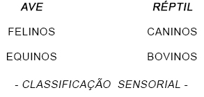 Classificação Sensorial Classificação Sensorial