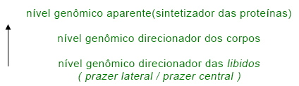 Nível genômico Nível genômico