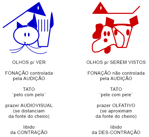 Resumo das linguagens Resumo das linguagens