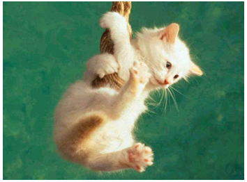 Queda livre Queda livre