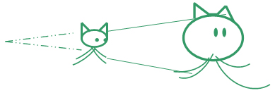 Linguagem não verbal Linguagem não verbal