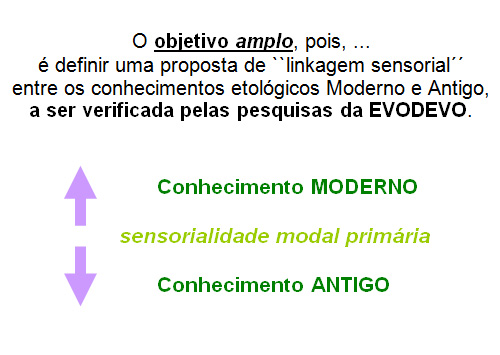 Objetivo amplo Objetivo amplo