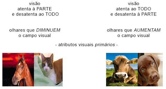 Atributos Visuais Primários Atributos Visuais Primários