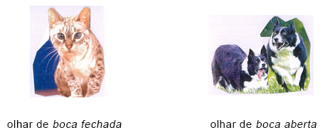 Percepção Percepção