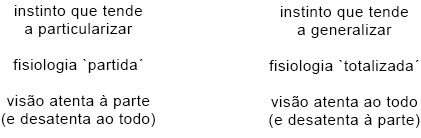 Complementos Complementos