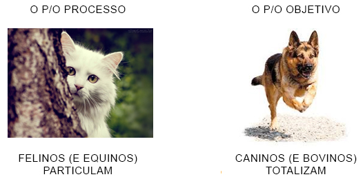 Mentes primárias Mentes primárias