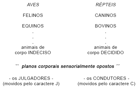 Planos corporais Planos corporais